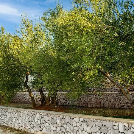 Villa Panoramica By Interhome Koromacno